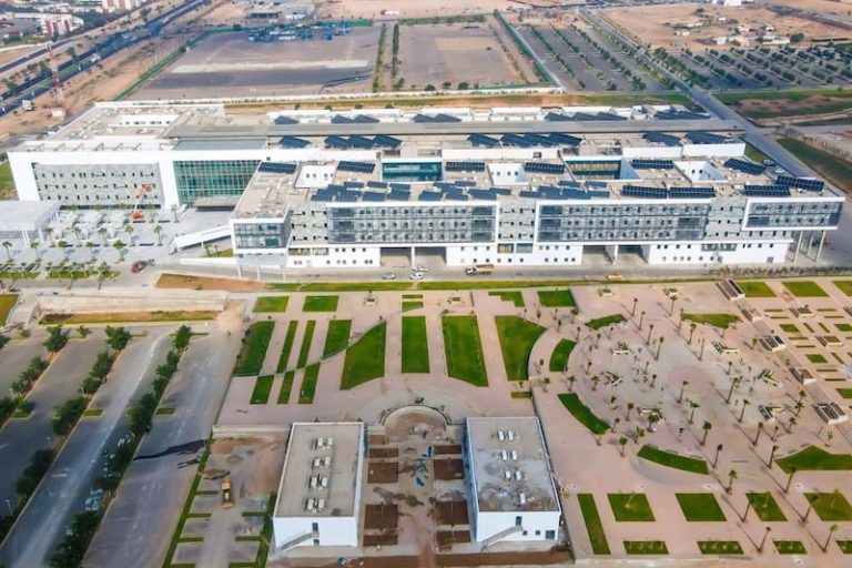 صورة المقالة