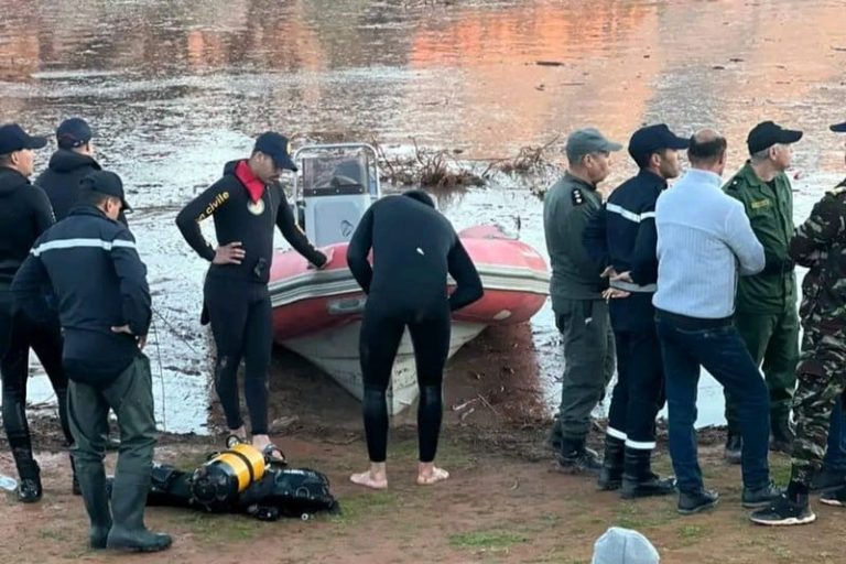 صورة المقالة