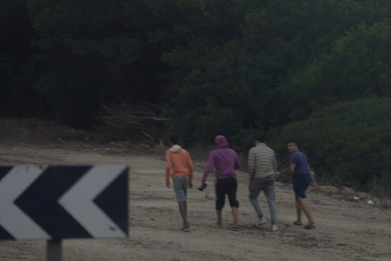 صورة المقالة