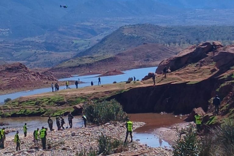 صورة المقالة