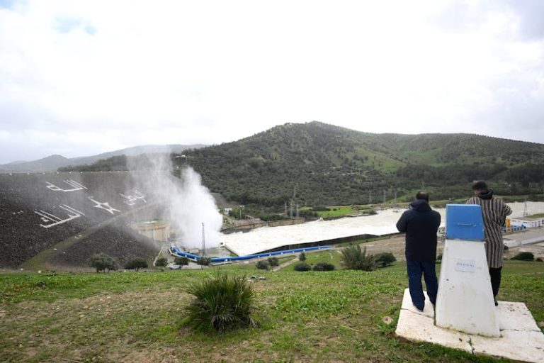 صورة المقالة