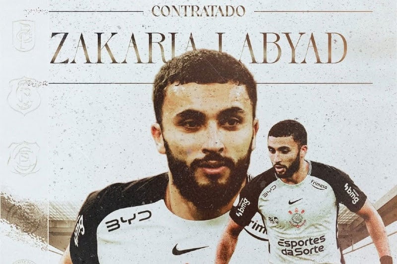 صورة المقالة