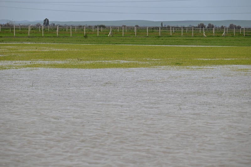 منطقة الغرب: تحديات تعافي الأنشطة الفلاحية بعد الفيضانات وجهود العودة للحياة الطبيعية