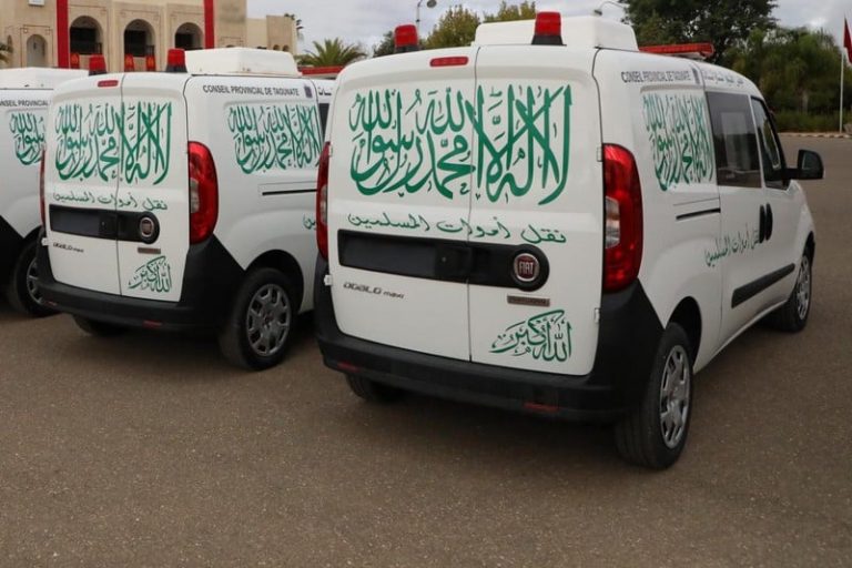 صورة المقالة