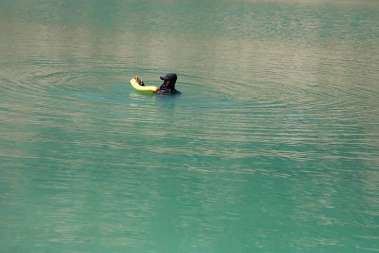 صورة المقالة