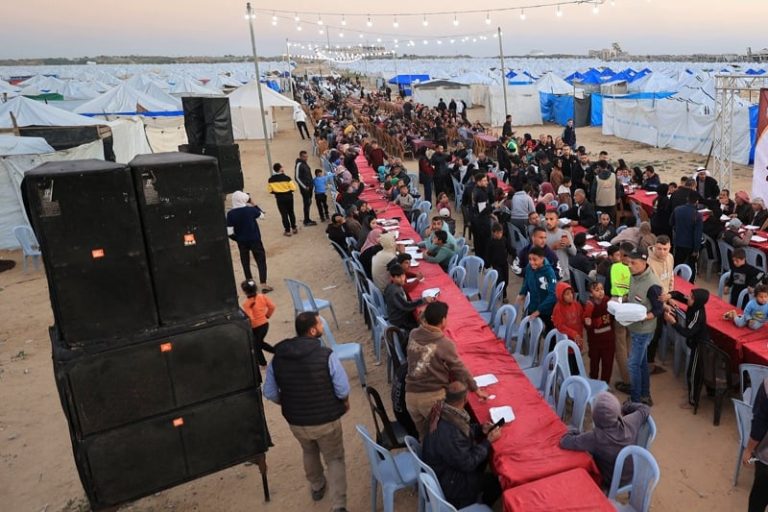 صورة المقالة