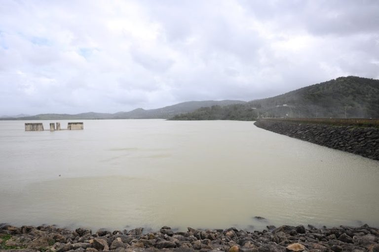 صورة المقالة