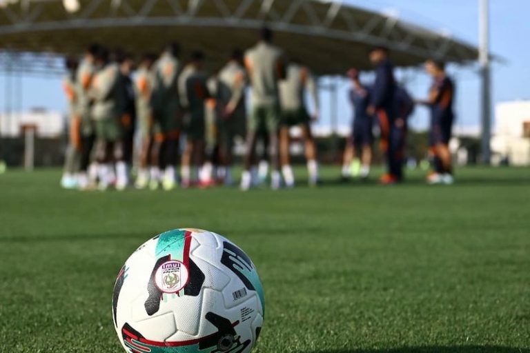 صورة المقالة