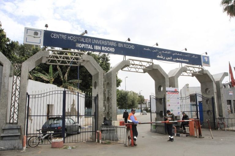 صورة المقالة