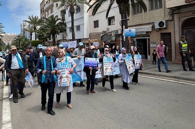 صورة المقالة