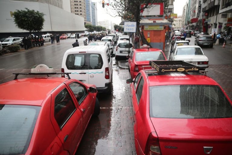 صورة المقالة