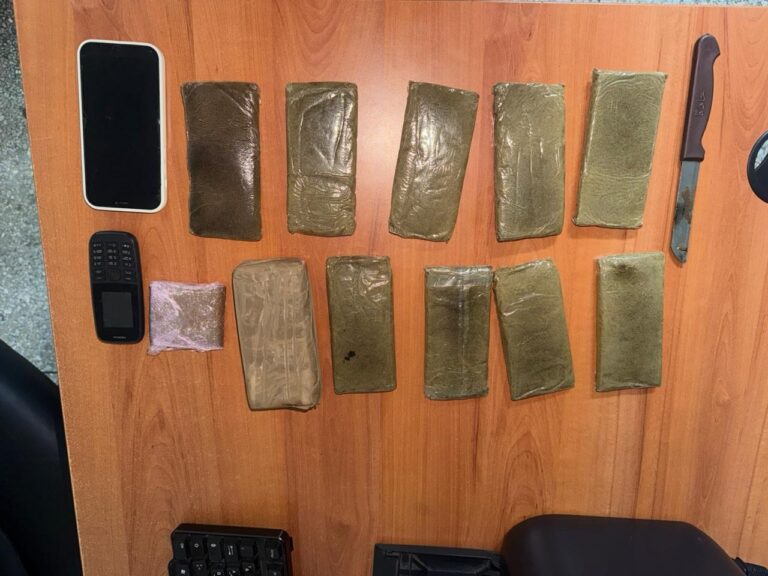 صورة المقالة