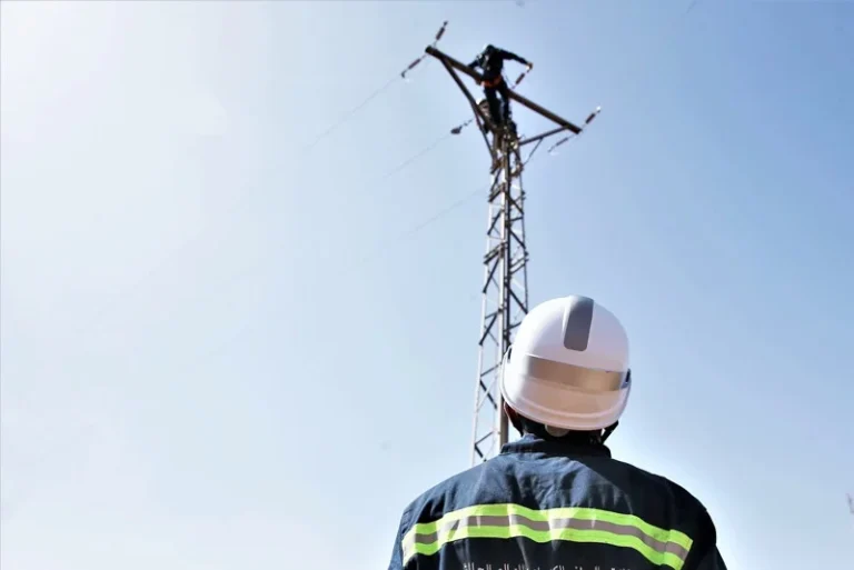 صورة المقالة