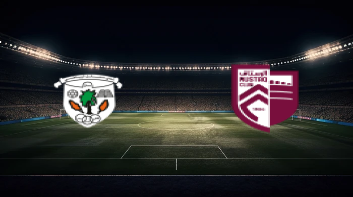 صورة المقالة