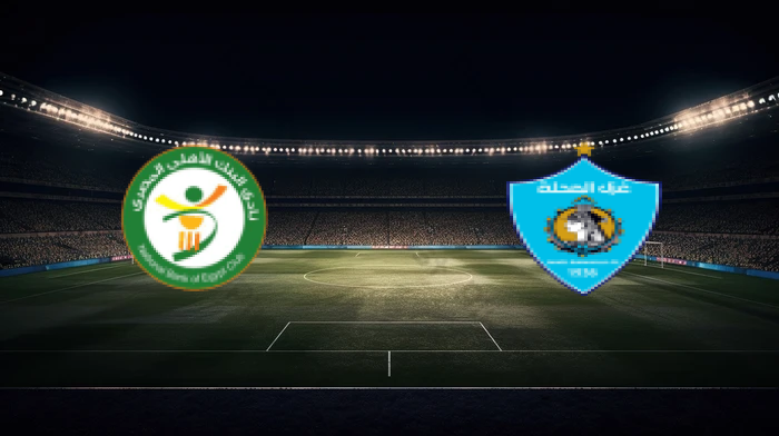 صورة المقالة