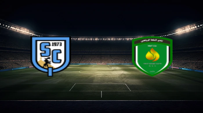 صورة المقالة