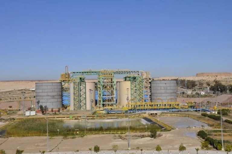 صورة المقالة