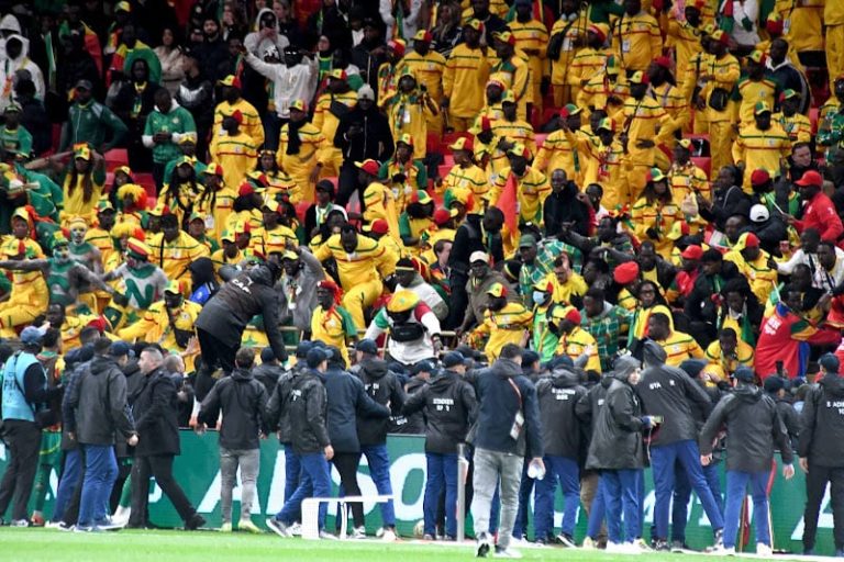 صورة المقالة