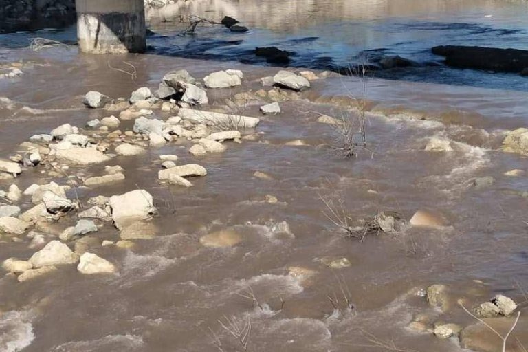 صورة المقالة