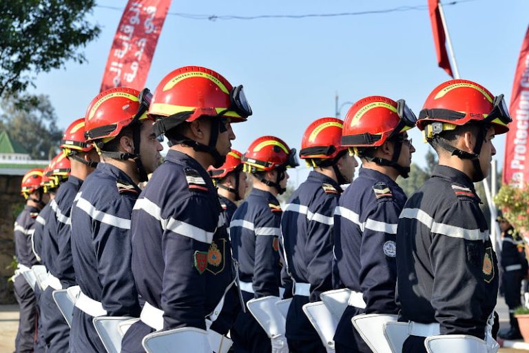 صورة المقالة