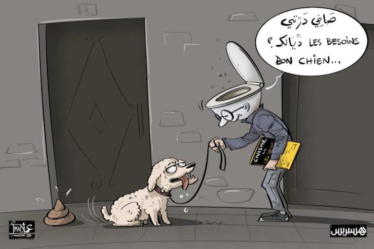 صورة المقالة