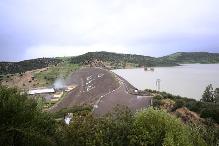 صورة المقالة