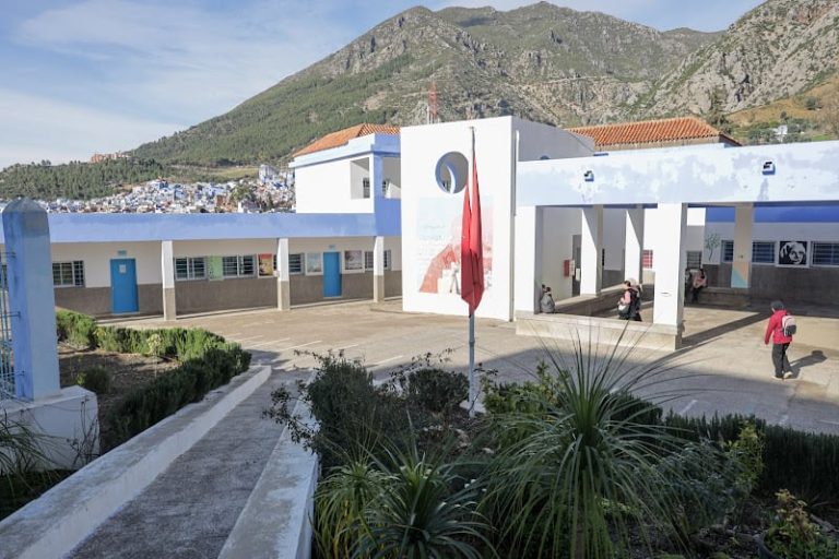 صورة المقالة