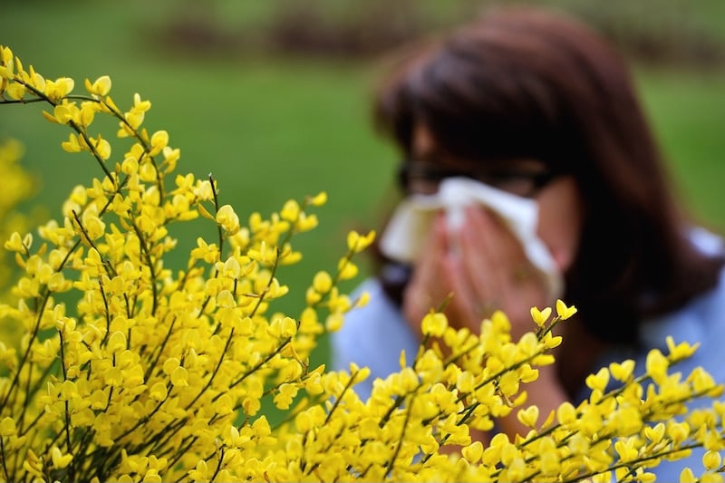 الربيع قادم: فهم التأثيرات الصحية للانتقال من الشتاء للربيع وكيف تحمي نفسك وعائلتك