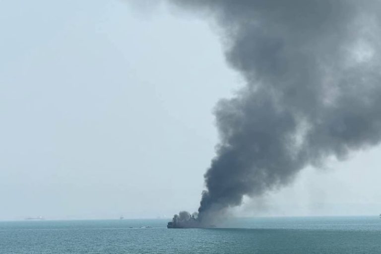 صورة المقالة