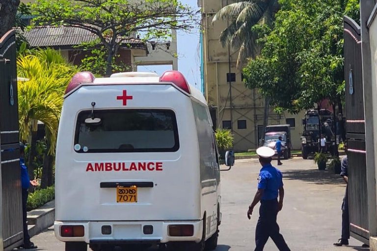 صورة المقالة