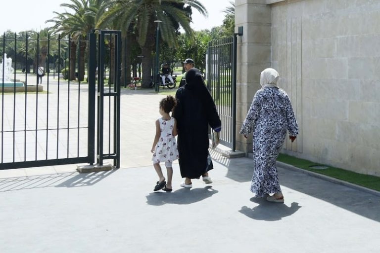 صورة المقالة