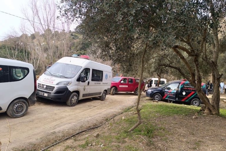 صورة المقالة