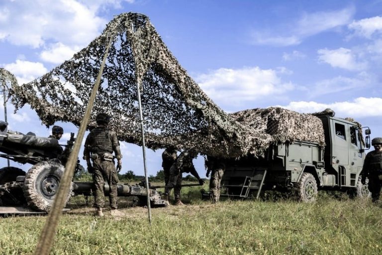 صورة المقالة