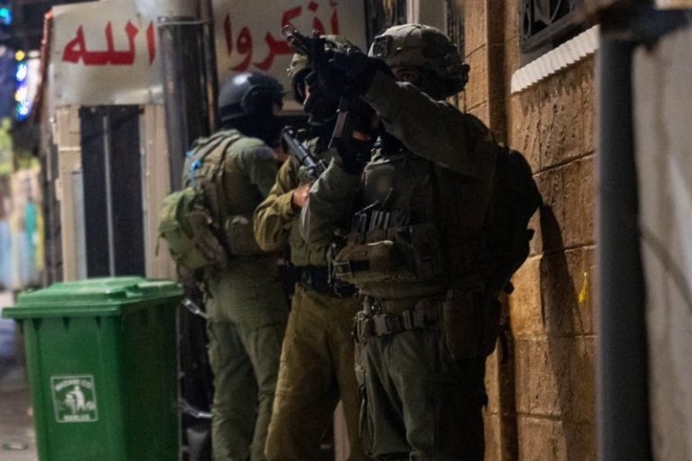 صورة المقالة