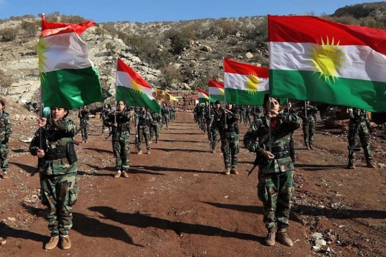 صورة المقالة