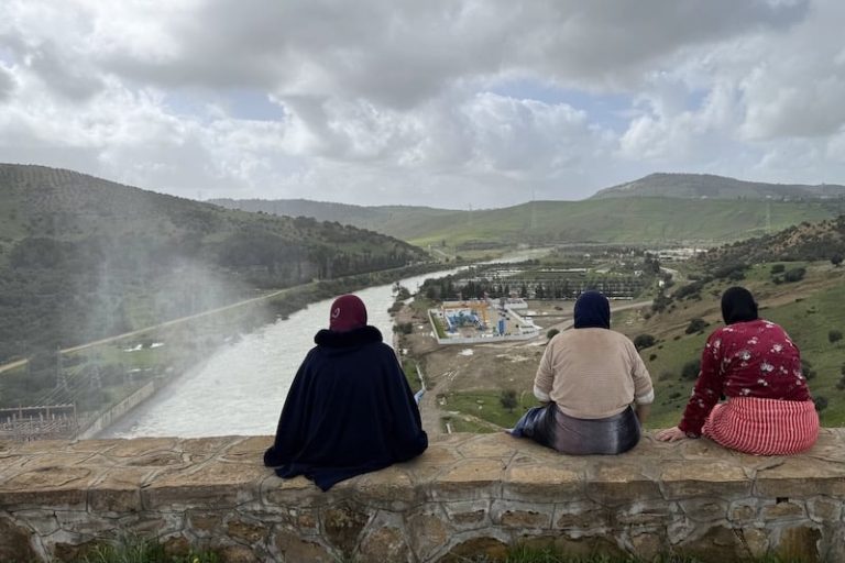 صورة المقالة