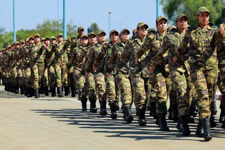 صورة المقالة