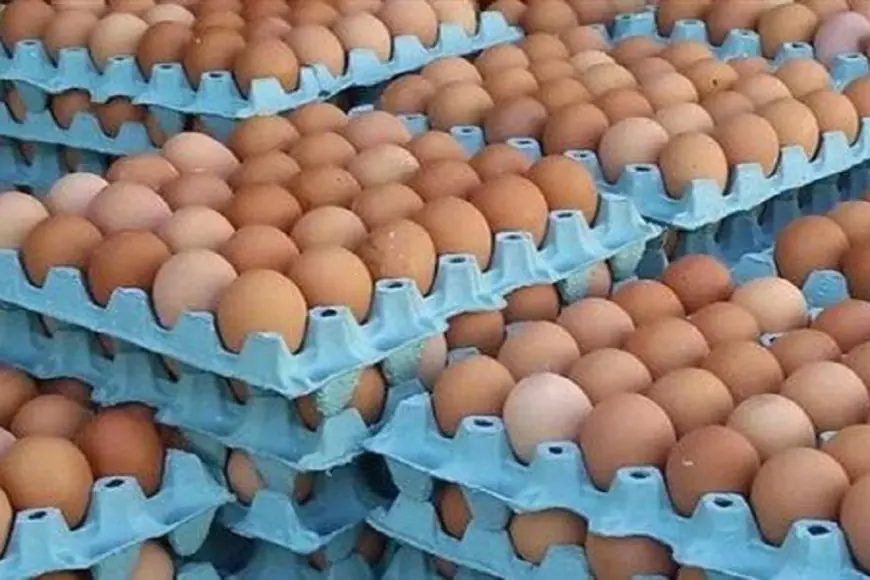 ارتفاع أسعار البيض في المغرب يثير قلق المستهلكين خلال رمضان