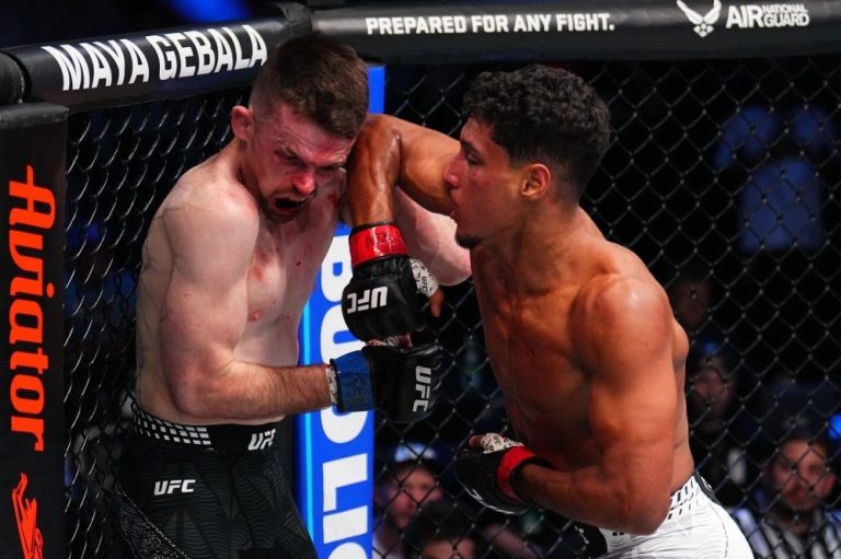 صورة المقالة