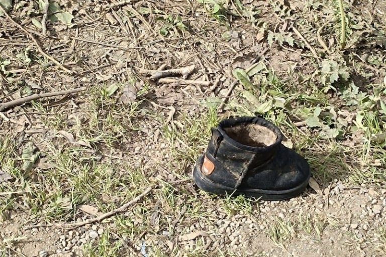 صورة المقالة