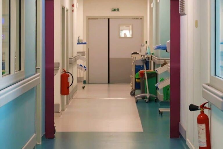 صورة المقالة