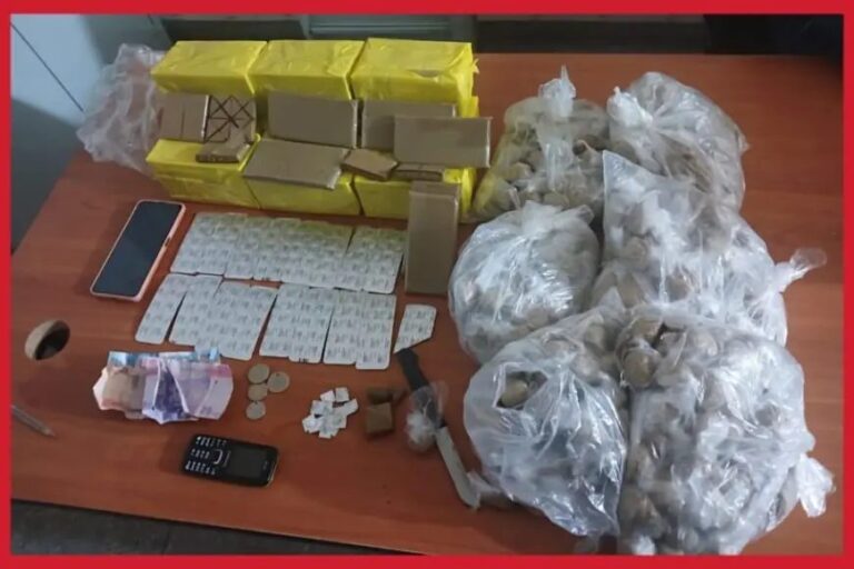 صورة المقالة