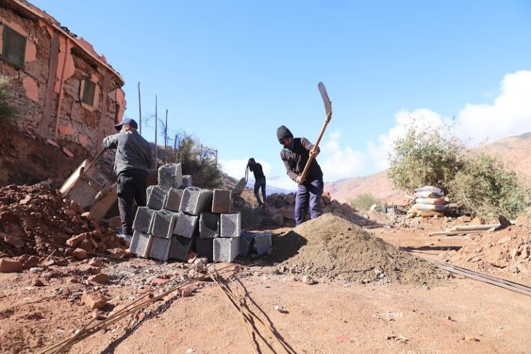 صورة المقالة