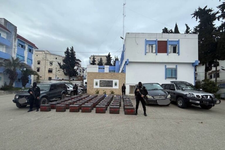 صورة المقالة