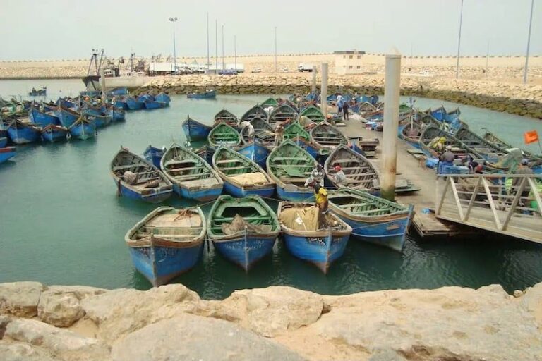 صورة المقالة