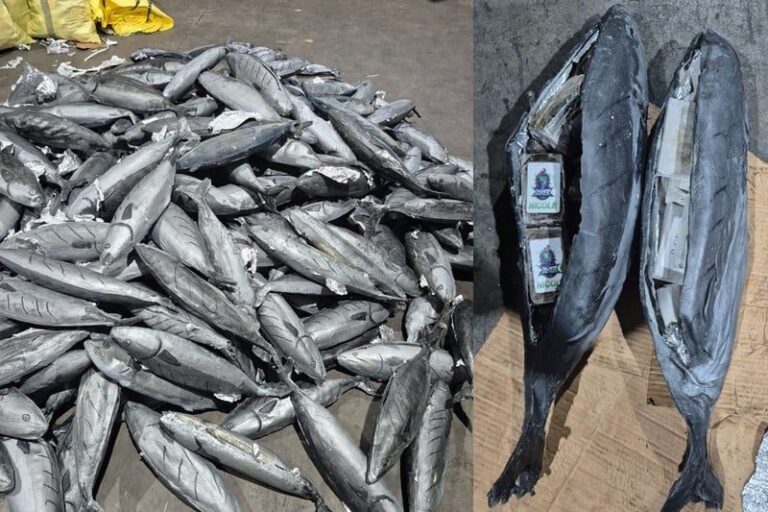 صورة المقالة