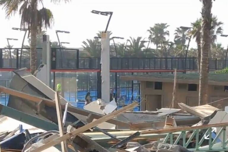 صورة المقالة