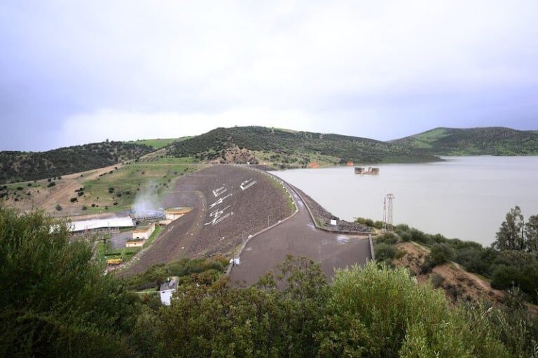 صورة المقالة