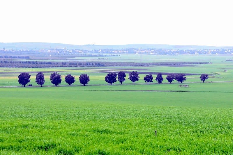 توقعات أرصادية ليوم الأحد: أمطار وثلوج ورياح قوية في عدة مناطق مغربية