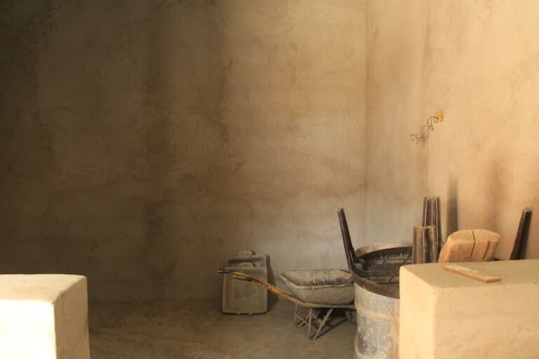 صورة المقالة